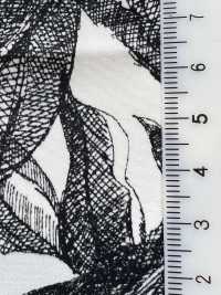 KKP3601-D66 New Venus ديشين[نسيج / قماش] Uni Textile (Komon Kobo) صور إضافية