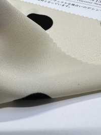 KKP3601-D130 نيو فينوس ديسين[Textile / Fabric] Uni Textile (Komon Kobo) صور إضافية