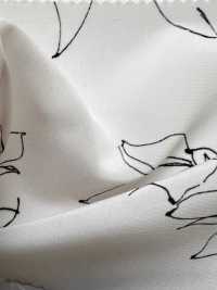 KKP3601-D77 جديد فينوس ديشين[نسيج / قماش] Uni Textile (Komon Kobo) صور إضافية