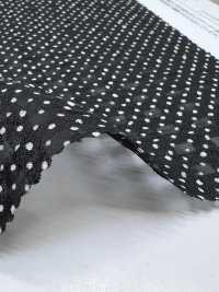 KKP4033-D1 سيرساكر CD لامع[نسيج / قماش] Uni Textile (Komon Kobo) صور إضافية