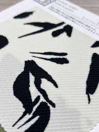 KKP5348-D53 تويل فاخر صوفي[نسيج / قماش] Uni Textile (Komon Kobo) صور إضافية