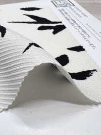 KKP5348-D53 تويل فاخر صوفي[نسيج / قماش] Uni Textile (Komon Kobo) صور إضافية