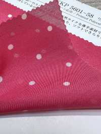KKP5601-58-DSB-119 لاون مغزول، عرض واسع[نسيج / قماش] Uni Textile (Komon Kobo) صور إضافية