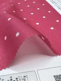 KKP5601-58-DSB-119 لاون مغزول، عرض واسع[نسيج / قماش] Uni Textile (Komon Kobo) صور إضافية