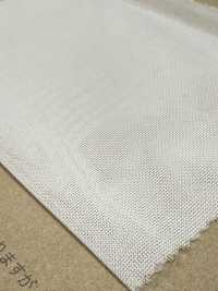 BL70000 تريكو مزدوج شفاف من خيط أحادي[Textile / Fabric] BELL TEX صور إضافية