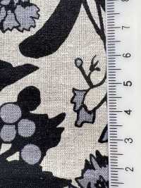 7026-1710-1 CL شيتينغ بنقشة زهور ظلية[Textile / Fabric] HOKKOH صور إضافية
