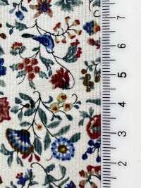 4026-1755-2 21W كوردروي مع زهور وطيور صغيرة[Textile / Fabric] HOKKOH صور إضافية