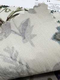 4026-1755-6 كوردروي 21W مزهر مصبوغ بعد النسج[Textile / Fabric] HOKKOH صور إضافية