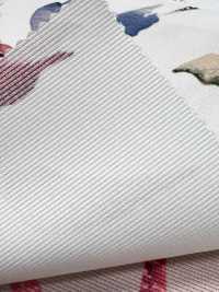 KDP8712-58-DD-563 طباعة نفث الحبر على غروسغرين غير لامع بعرض كبير[نسيج / قماش] Uni Textile (Komon Kobo) صور إضافية