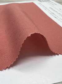 KKC484-W T/Ry برودكلوث[نسيج / قماش] Uni Textile (Komon Kobo) صور إضافية