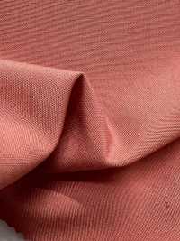 KKC484-W T/Ry برودكلوث[نسيج / قماش] Uni Textile (Komon Kobo) صور إضافية