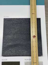 JACK CARINA Jack Karina[Textile / Fabric] Nagai Nenshi صور إضافية