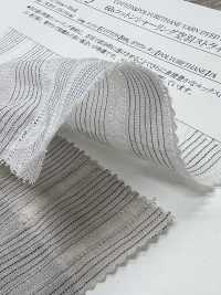 14435 شريط مفرغ بشيرينغ من قطن 60s[Textile / Fabric] SUNWELL صور إضافية