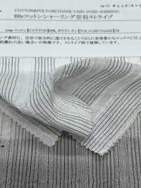 14435 شريط مفرغ بشيرينغ من قطن 60s[Textile / Fabric] SUNWELL صور إضافية