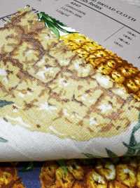 4247 برودكلوث أنيق ومريح PINEAPPLE[Textile / Fabric] VANCET صور إضافية