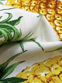 4247 برودكلوث أنيق ومريح PINEAPPLE[Textile / Fabric] VANCET صور إضافية