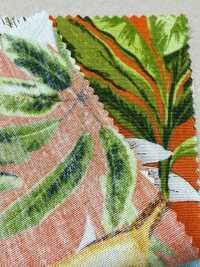 4257 برودكلوث أنيق ومريح BANANA&LEAVES[نسيج / قماش] VANCET صور إضافية