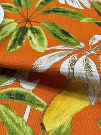 4257 برودكلوث أنيق ومريح BANANA&LEAVES[نسيج / قماش] VANCET صور إضافية