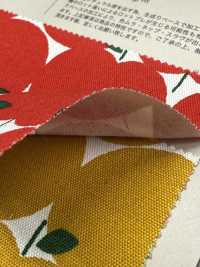 850551 أوكسفورد قطن غير مبيّض بنقاط التفاح[Textile / Fabric] VANCET صور إضافية
