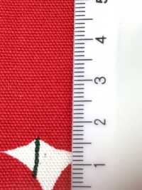 850551 أوكسفورد قطن غير مبيّض بنقاط التفاح[Textile / Fabric] VANCET صور إضافية