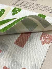 850552 أكسفورد قطن غير مبيّض أسبارا سترايب[نسيج / قماش] VANCET صور إضافية
