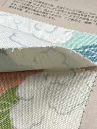 850553 أوكسفورد قطن غير مبيض Cauliflower[Textile / Fabric] VANCET صور إضافية