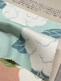 850553 أوكسفورد قطن غير مبيض Cauliflower[Textile / Fabric] VANCET صور إضافية