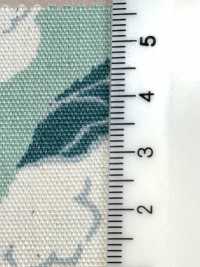 850553 أوكسفورد قطن غير مبيض Cauliflower[Textile / Fabric] VANCET صور إضافية