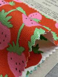 850593 أكسفورد ستروبري بارتي ستروبري فيلد[Textile / Fabric] VANCET صور إضافية