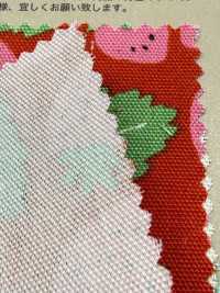 850593 أكسفورد ستروبري بارتي ستروبري فيلد[Textile / Fabric] VANCET صور إضافية