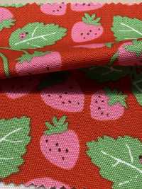 850593 أكسفورد ستروبري بارتي ستروبري فيلد[Textile / Fabric] VANCET صور إضافية