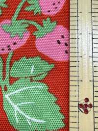 850593 أكسفورد ستروبري بارتي ستروبري فيلد[Textile / Fabric] VANCET صور إضافية