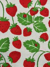 850593 أكسفورد ستروبري بارتي ستروبري فيلد[Textile / Fabric] VANCET صور إضافية