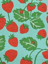 850593 أكسفورد ستروبري بارتي ستروبري فيلد[Textile / Fabric] VANCET صور إضافية