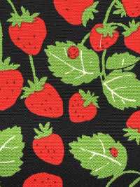 850593 أكسفورد ستروبري بارتي ستروبري فيلد[Textile / Fabric] VANCET صور إضافية