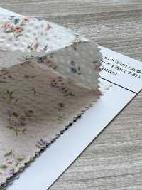 AP62801 بوبلين بيتيت المموّج (رول)[Textile / Fabric] COSMO TEXTILE صور إضافية