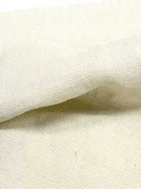 OZ32224 Safilin كتان خالص 44[Textile / Fabric] Oharayaseni صور إضافية