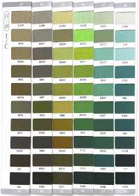 TC-COLORSAMPLE بطاقة عينات ألوان ريب T/C صور إضافية