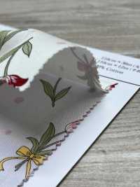 AP61108 أوكسفورد مزهر (رول)[Textile / Fabric] COSMO TEXTILE صور إضافية