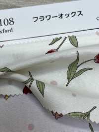 AP61108 أوكسفورد مزهر (رول)[Textile / Fabric] COSMO TEXTILE صور إضافية