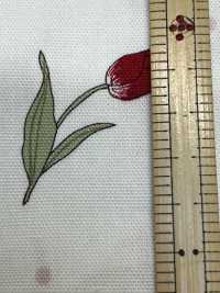 AP61108 أوكسفورد مزهر (رول)[Textile / Fabric] COSMO TEXTILE صور إضافية