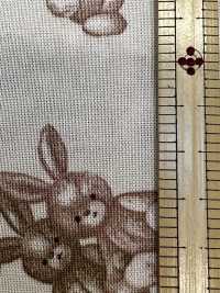 AP62202 My Fluffy Friends شيتنج بطبعة حيوانات (رول)[نسيج / قماش] COSMO TEXTILE صور إضافية
