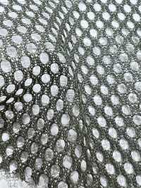 E7500 شبكة بوليستر[Lining] Inoue Knit صور إضافية
