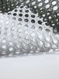 S7500A شبك بوليستر[Textile / Fabric] Inoue Knit صور إضافية
