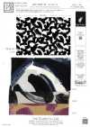 KKP8032-58-HM-110 Sildeux ساتان