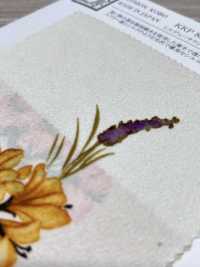 KKP8032-58D-BK-430 Shirudeu ساتان، عرض واسع[نسيج / قماش] Uni Textile (Komon Kobo) صور إضافية
