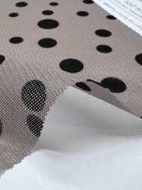 KKP8110-520R Samora شبكة قوة[نسيج / قماش] Uni Textile (Komon Kobo) صور إضافية