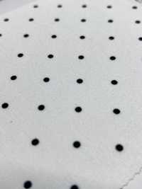 KKP8911-58-SB-119 شانتونغ غرغرين[نسيج / قماش] Uni Textile (Komon Kobo) صور إضافية