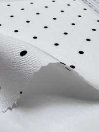 KKP8911-58-SB-119 شانتونغ غرغرين[نسيج / قماش] Uni Textile (Komon Kobo) صور إضافية