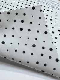 KKP9934-W-SB-316 ديشين من ألياف مقسمة، عرض واسع[نسيج / قماش] Uni Textile (Komon Kobo) صور إضافية